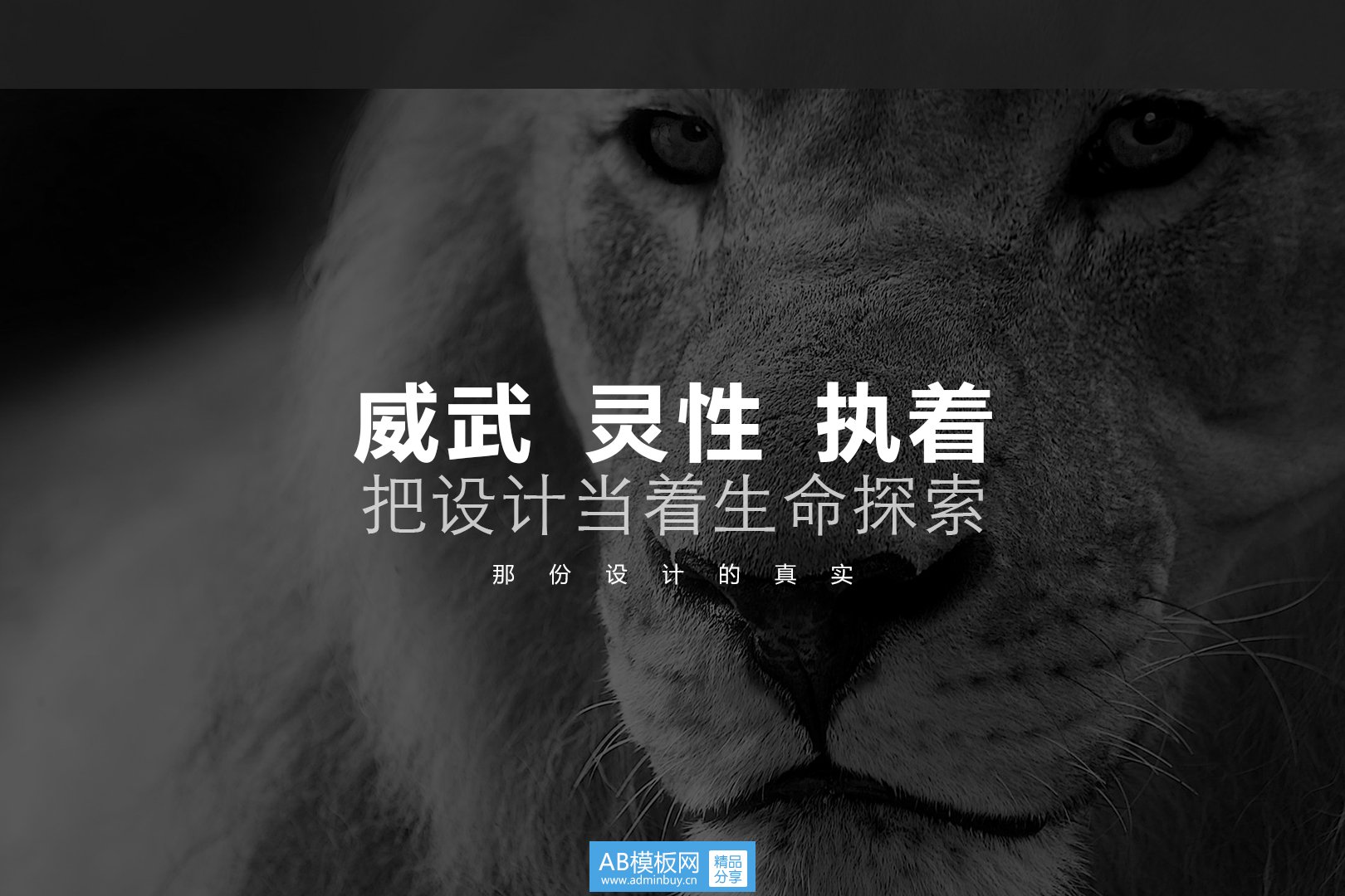 幻灯片